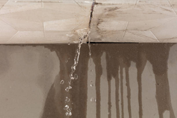 Professional Water Damage Repair technician working in Lansing, KS